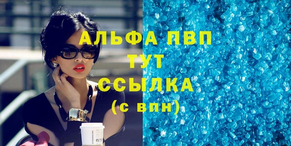 spice Новодвинск