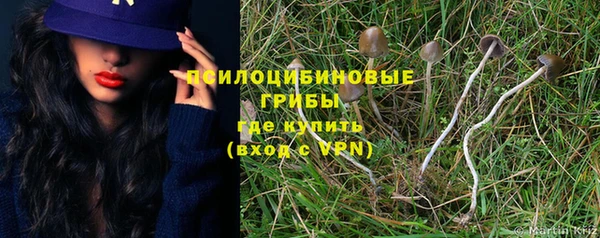 spice Новодвинск
