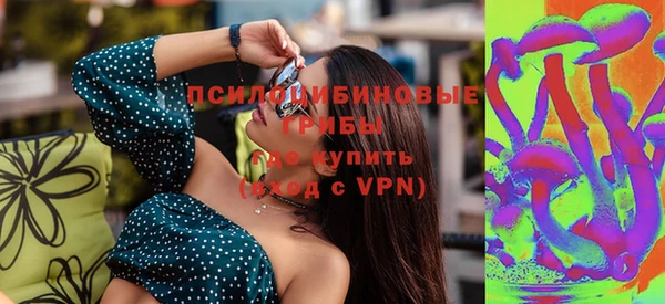 крисы Абдулино