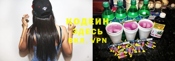 трава Новозыбков